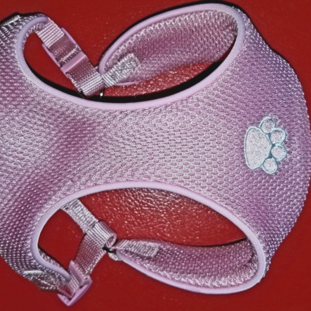 Pet "Top paw " small dog halter